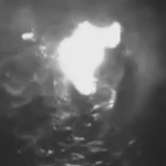 U.S. says 1 person survived after military strikes on alleged drug boats kill 5 in eastern Pacific